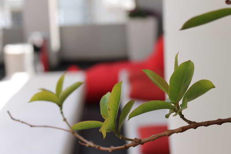 Artist Hotel - An Atlas Boutique Hotel Tel Aviv Eksteriør bilde